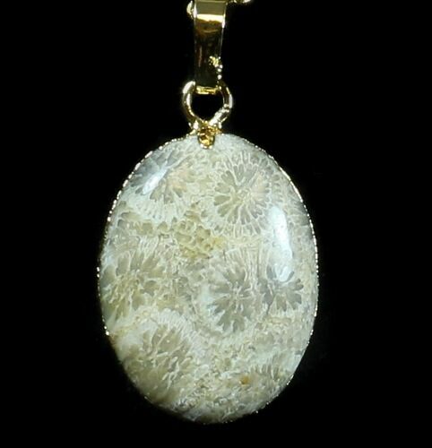 Million Year Old Fossil Coral Necklace #35771